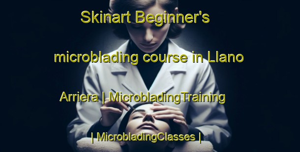 Skinart Beginner's microblading course in Llano Arriera | MicrobladingTraining | MicrobladingClasses | SkinartTraining-Mexico